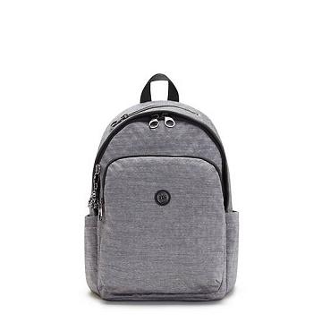 Kipling Delia Klassieke Rugzak Zilver | NL 1660WN